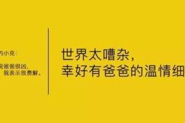 娱乐吃瓜扎心文案,揭秘明星背后的辛酸与真相