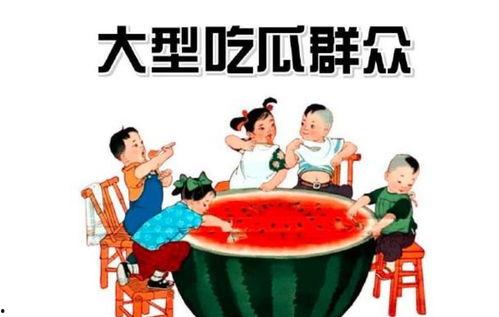 娱乐吃瓜感受和收获,趣味收获与感悟集锦